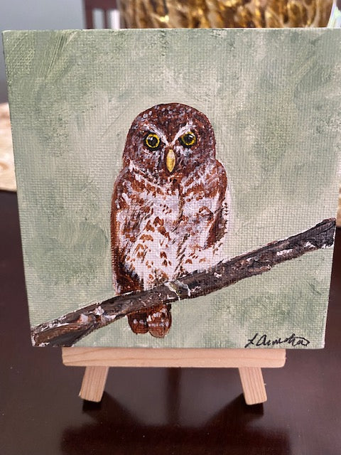 Owl
