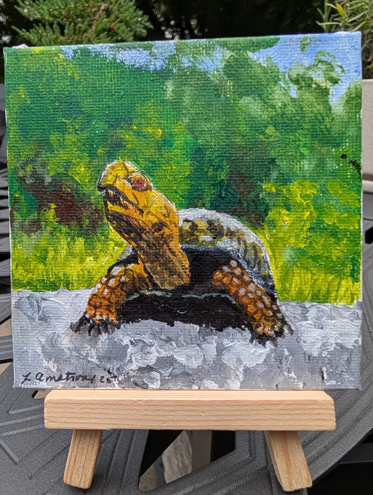Turtle