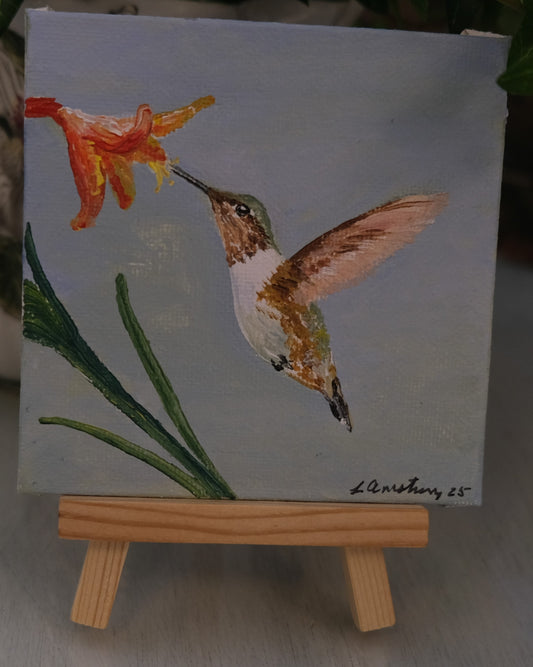 Humming Bird #3