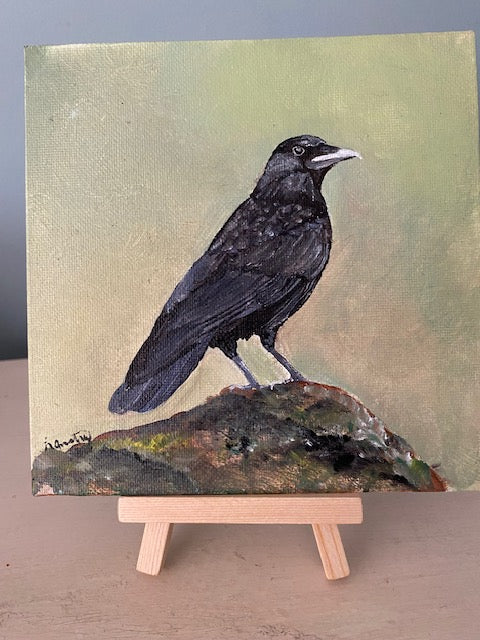 Mr. Crow