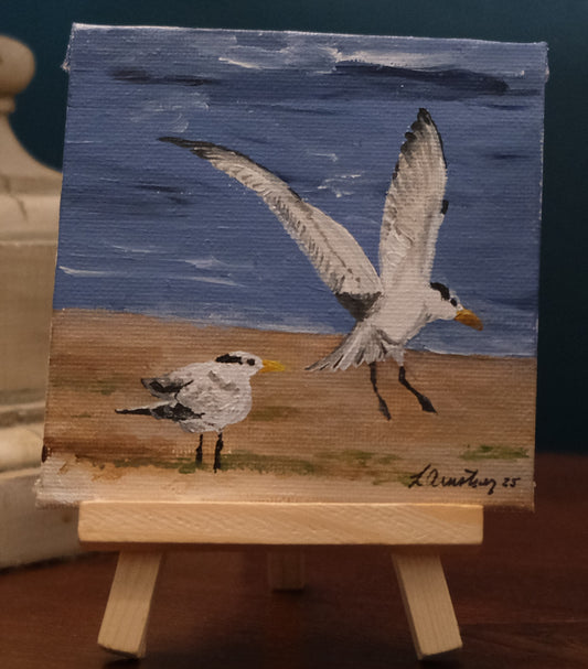 Shore Birds